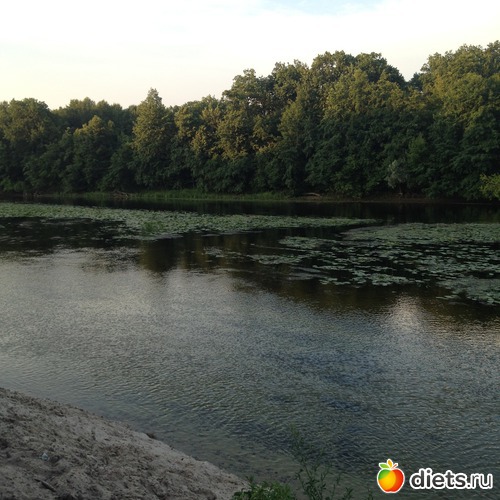 3 ����: ����������