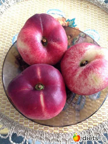 Завтрак 5/90, альбом: Питашка 90 дней