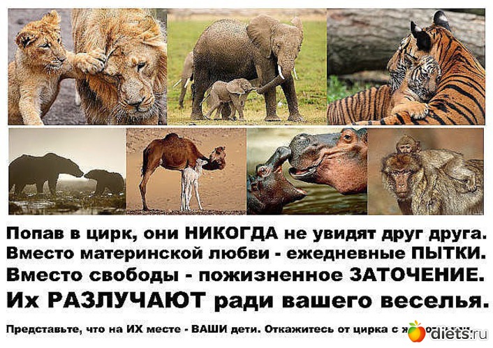 5 фото: Не знаю как назвать