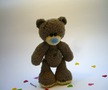 Teddy
