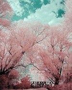 Доброе утро)))