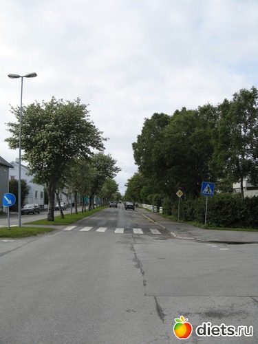 214 фото: Лофотены. Норвегия июнь 2014