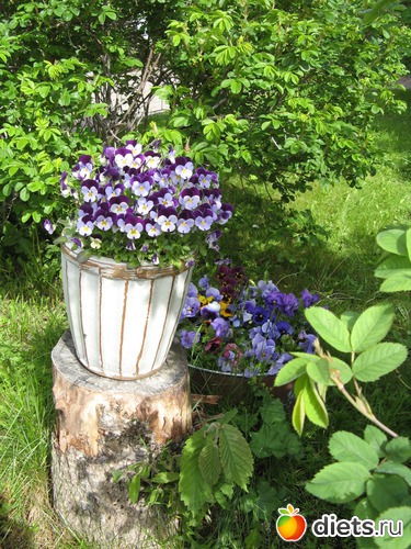 215 фото: Лофотены. Норвегия июнь 2014