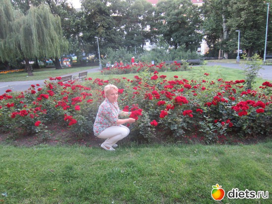24 фото: ПРАГА И ВЕНА 2014
