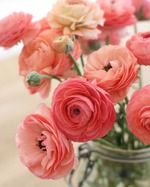 ������ ����!)))