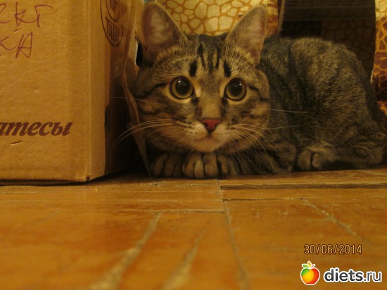 36 ����: ������ ���������