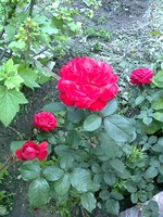 ��������� ������