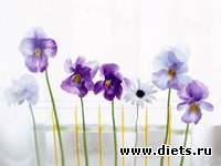 Девочки, всех люблю!!!