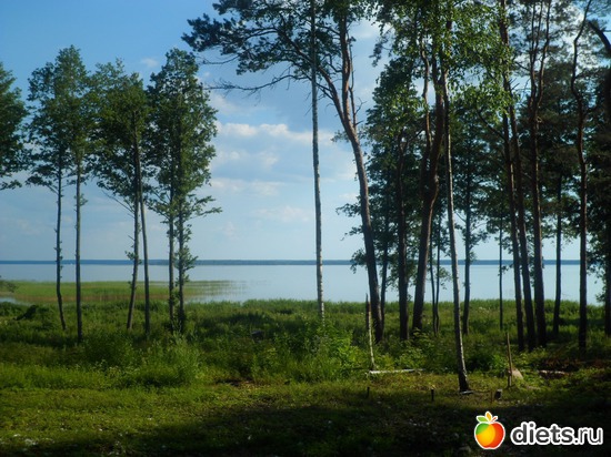4 ����: ������