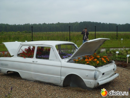 11 ����: ������