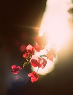 ������ � ����)))