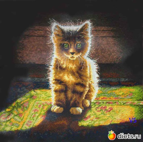 Dimensions 35286 ������� �������� �������, ������: �������