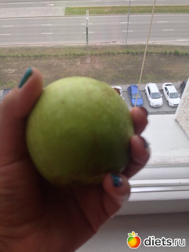 Завтрак 15/90, альбом: Питашка 90 дней