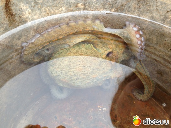 19 фото: природа