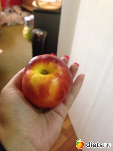 1 ����: ���������