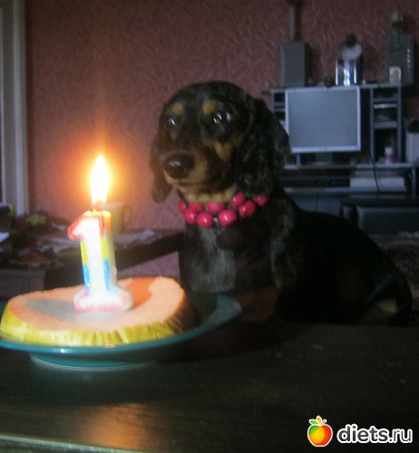 ���� -�����!!!, ������: ����� 2013 � ������...