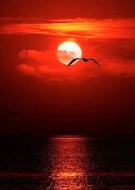 Не откладывай...