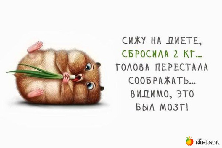 34 ����: ��������� - ����� 3