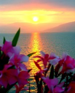 Доброе утро!)))