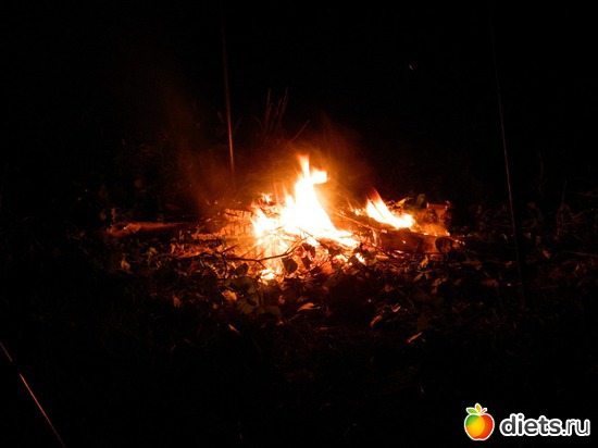 11 ����: ���� 2014