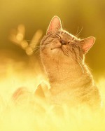 ������ ����!)))