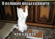 Рецепты полезных диетических блюд