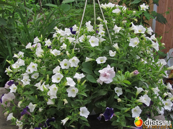 82 ����: �����-����-����� 2013 - 2015