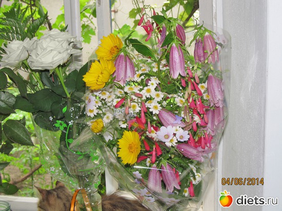 84 ����: �����-����-����� 2013 - 2015