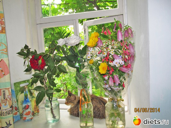 85 ����: �����-����-����� 2013 - 2015