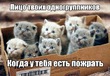 ���������...