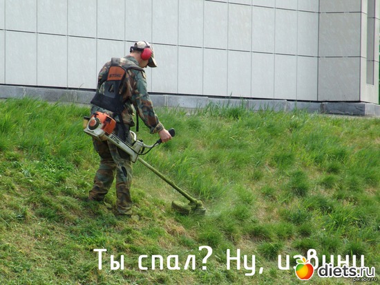 15 ����: ,,,