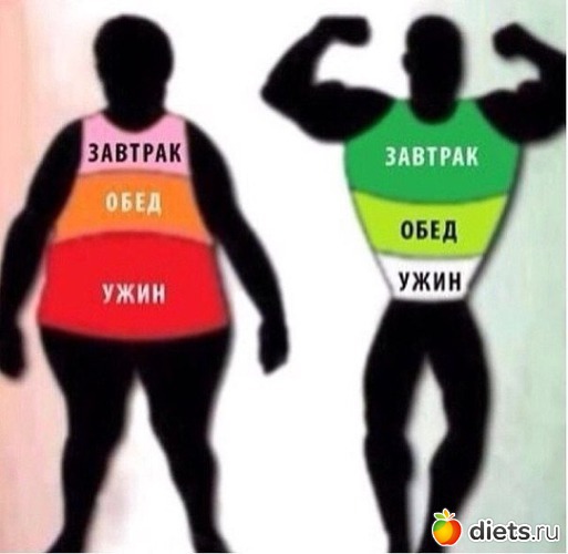 1 ����: ����� ��