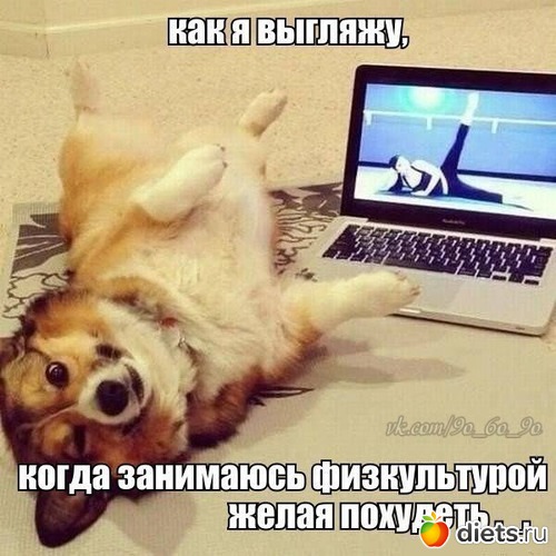 743 фото: К чему стремлюсь!!!