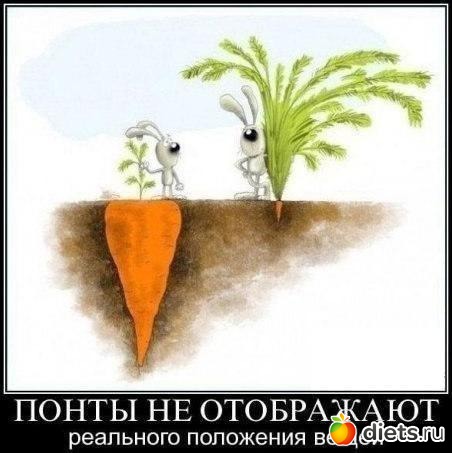 К чему стремлюсь!!!