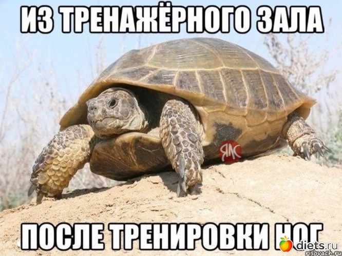 716 фото: К чему стремлюсь!!!
