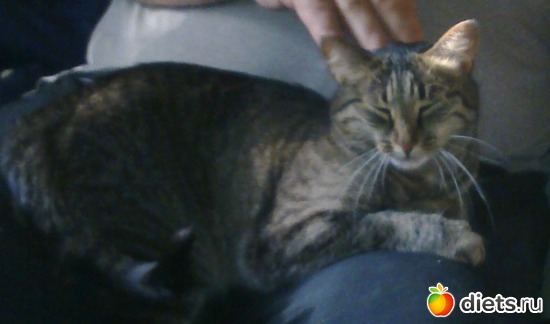 9 фото: Моя рыбная ферма