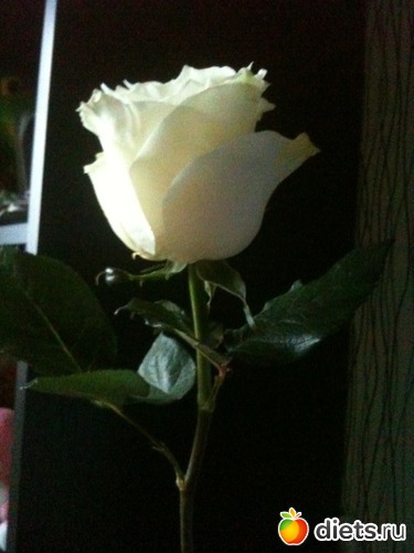 13 фото: все как есть