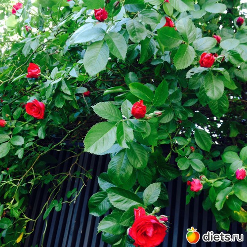 60 фото: Мои фотографии