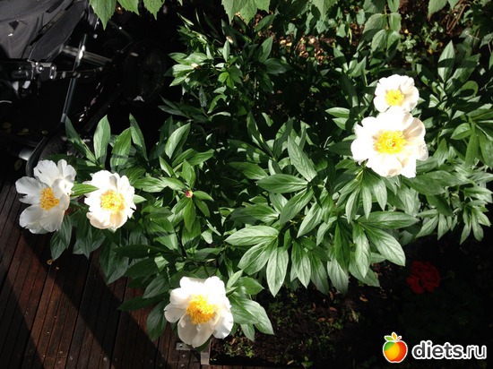 61 фото: Мои фотографии