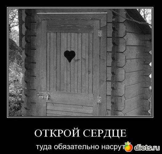 19 ����: ,,,