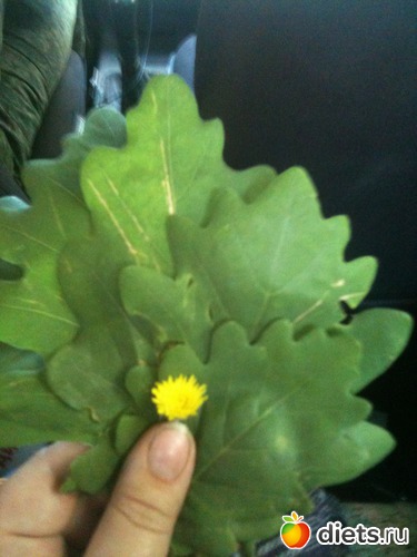 17 фото: все как есть