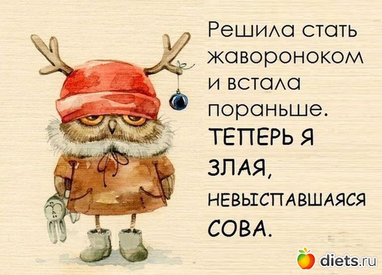 Сова, альбом: прикольные картинки