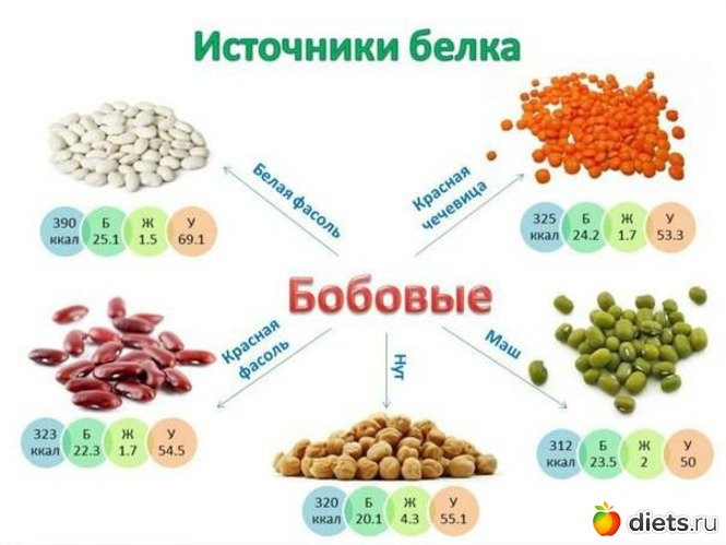 3 ����: �������� ����������