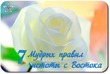 7 правил чистоты: