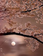 Доброго дня))))