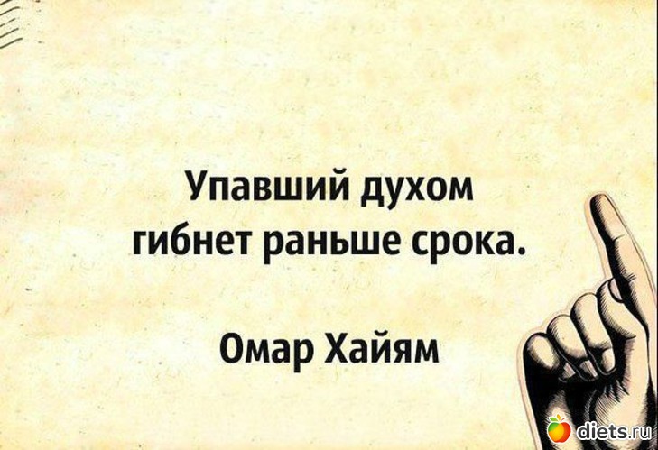 17 ����: ���������