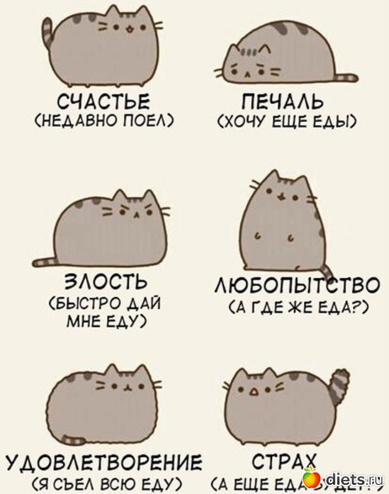 3 ����: �������