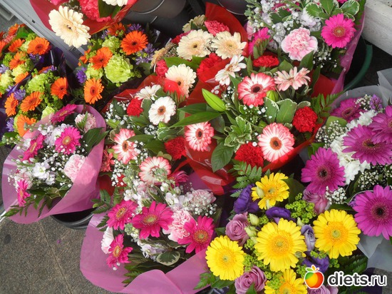 5 ����: ������ ������