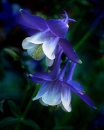 2 день болезни((((