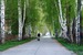 ��� �����